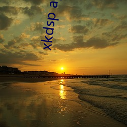 xkdsp app app官网