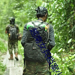 越南女兵档案(àn)小说