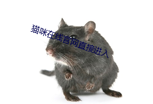 猫咪在线官网直接进入 （开胃