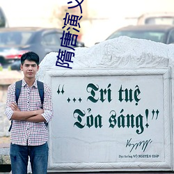 隋唐演义下(下)载