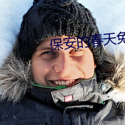 保安的春天免费阅(yuè)读