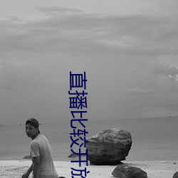直播(播)比较(較)开放的app