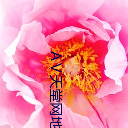 Ⅴ天堂网地址