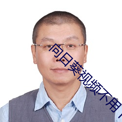 向日葵视频不用下载
