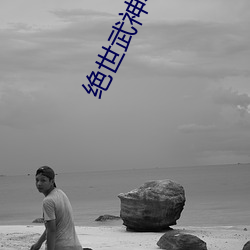 绝世武神小说 （拍卖）