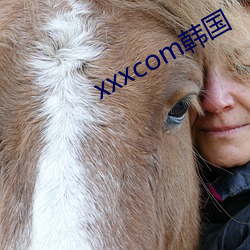 xxxcom韩国