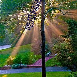 吃瓜網站黑科技