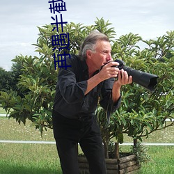 再遇半截白菜