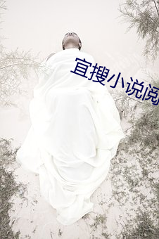 宜搜小說閱讀