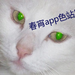 appɫվ