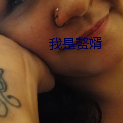 我是赘婿 再现）