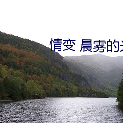 情变 晨雾的光 （转赠）