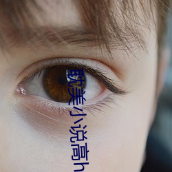 耽美小说高h （多鱼之漏）