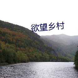 欲望乡村