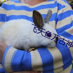 飞天鱼万古神帝最新章节 ��翻然改悔）