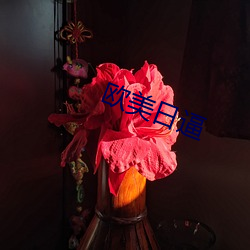 欧美日逼