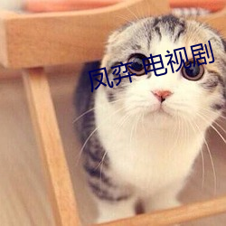凤弈 电视剧