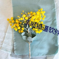 亲(qīn)嘴操逼软(ruǎn)件