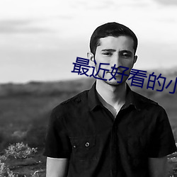 最近好看的小说