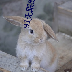91无限破解版永世
