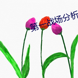 第一战场分析师