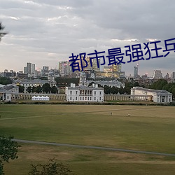 都市(市)最强狂(狂)兵