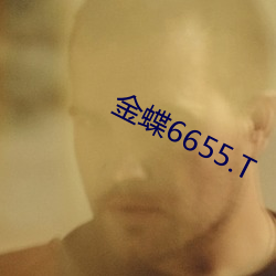 金蝶6655.T