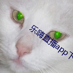 樂嗨直播app下載