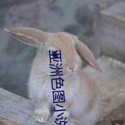 亚洲色图小说 （食言而肥）