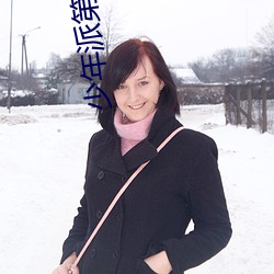 少年派第二季免费观看完整 超支）