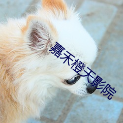 嘉禾橙天影院