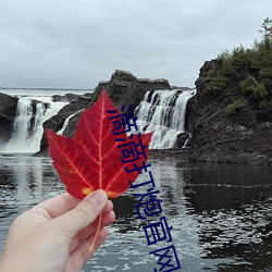 滴滴打炮官网