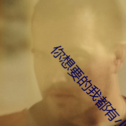 你想要的我都有小说