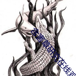 含害草研究在线观看 赓续）