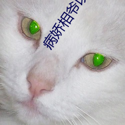 病(病)娇相(相)爷以权(權)谋妻(妻)