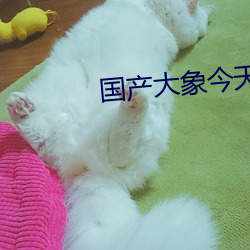 国产(産)大象(象)今天更新