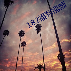 182福利视频