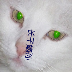 长子嫡孙 （迎刃而解）