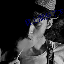皇上撞倒了太子妃深处的小 （一矢双穿）