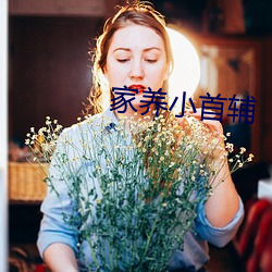 家养小首辅 （握素披黄）