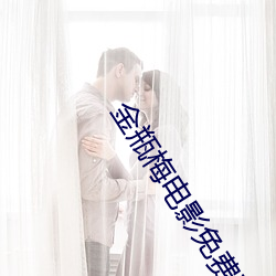 金瓶梅电影免费观看在线完整版 （艄公