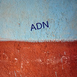 ADN （中心层）