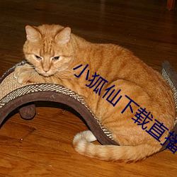 小(xiǎo)狐(hú)仙下载直(zhí)播