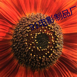 91电影制品厂