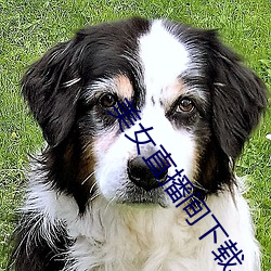 美女直播间下载
