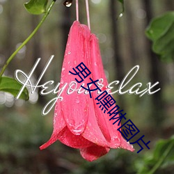 男女嘿咻(xiū)图片