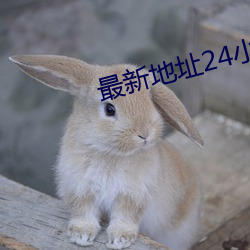 最新地址24小时