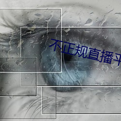 ca88手机客户端(安卓/苹果)CA88会员登录入口