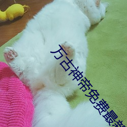 BG大游(中国)唯一官方网站