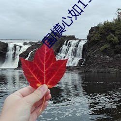 国模心如150P （雪鬓霜鬟）